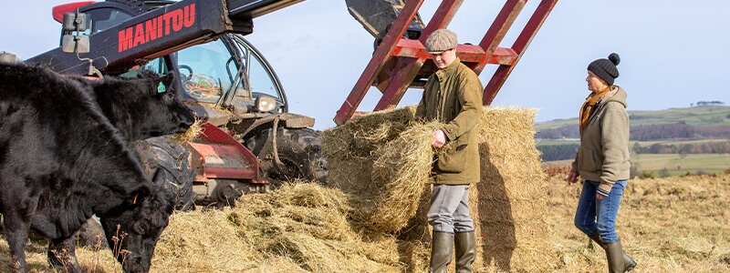 On the feet of our farmers