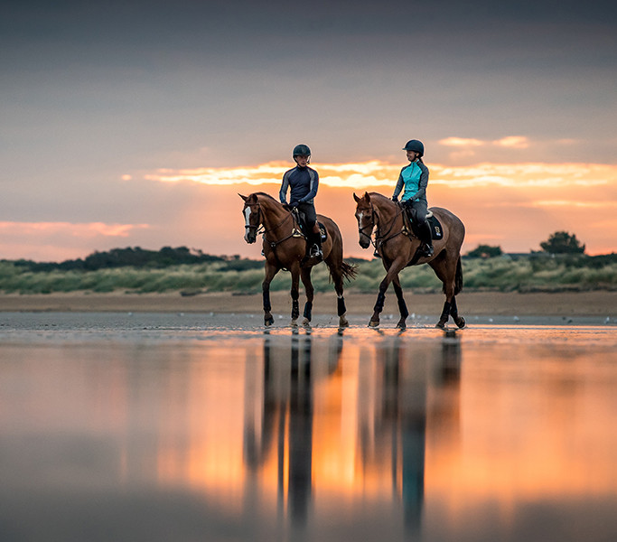 Noble Equestrian