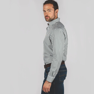 Harlyn Tailored Fit Shirt Sage Check
